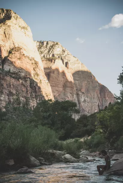 mountains and nearby trees